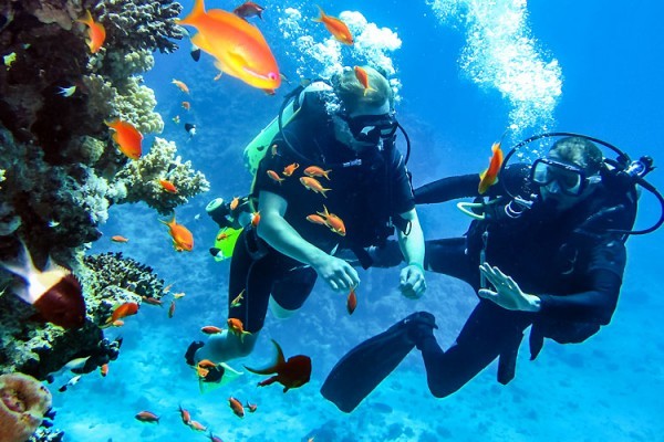 North Bay Snorkeling